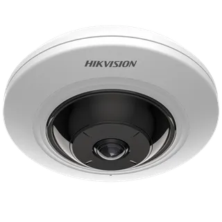 IP kaamera DS-2CD2955G0-ISU 5MP f1.05mm kalasilm valge