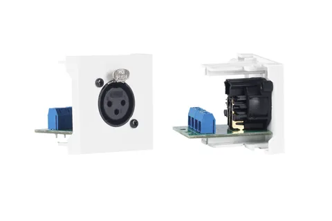 XLR seinapaneel WP-39X XLR emane