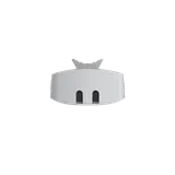Wireless Bridge RG-EST100-E 2.4GHz Dual-stream 500m (4/6)